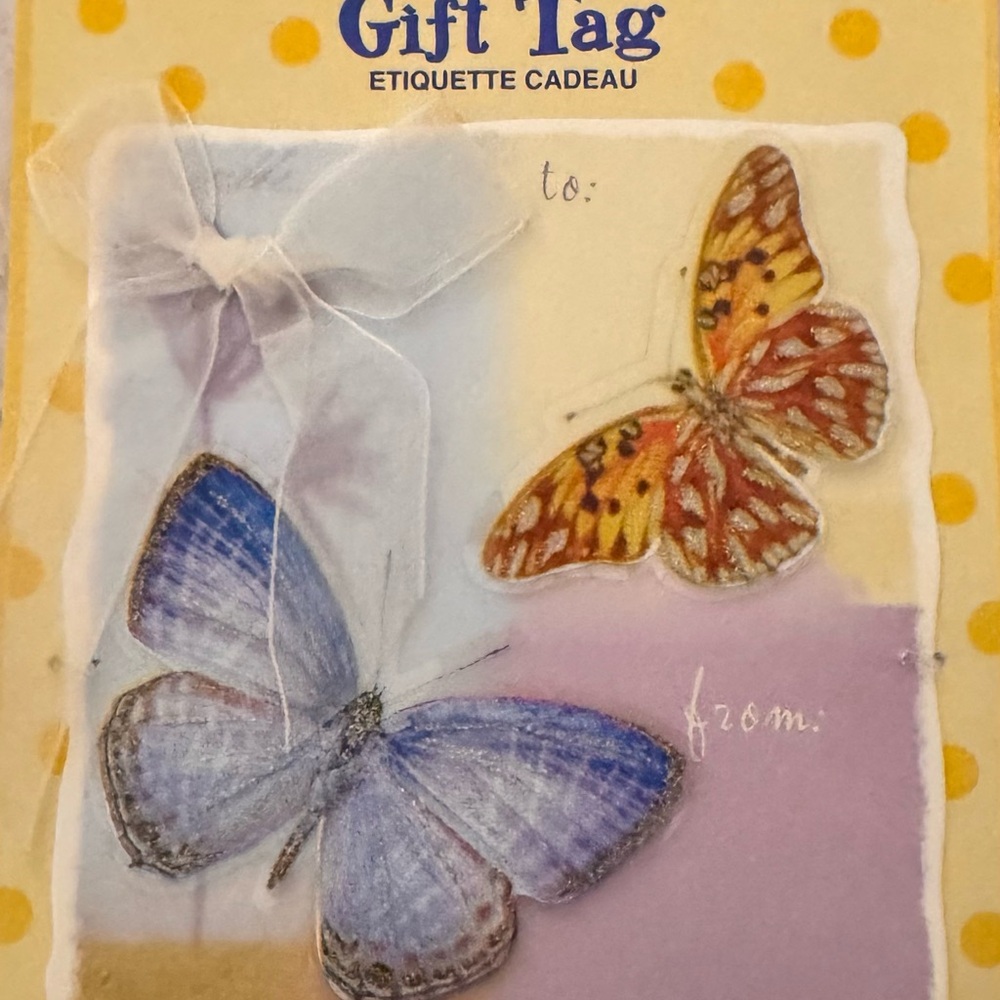 Large Gift Tags (2)